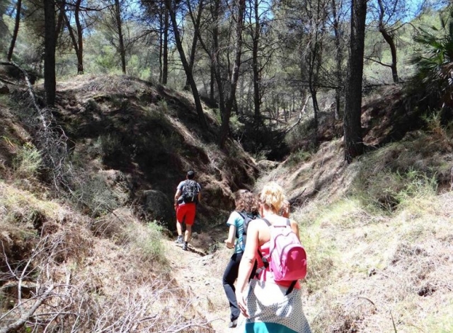 grupo de amigos entre los pinos